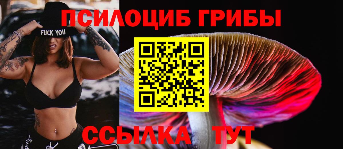 Галлюциногенные грибы Cubensis Будённовск