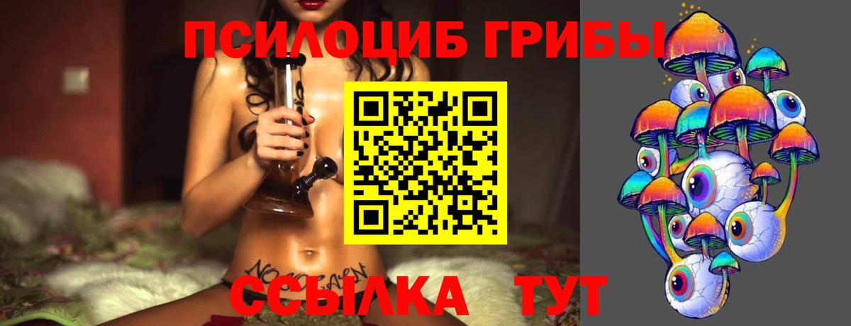 Будённовск  Галлюциногенные грибы Magic Shrooms  Вход с VPN  Псилоцибиновые грибы Magic Shrooms 